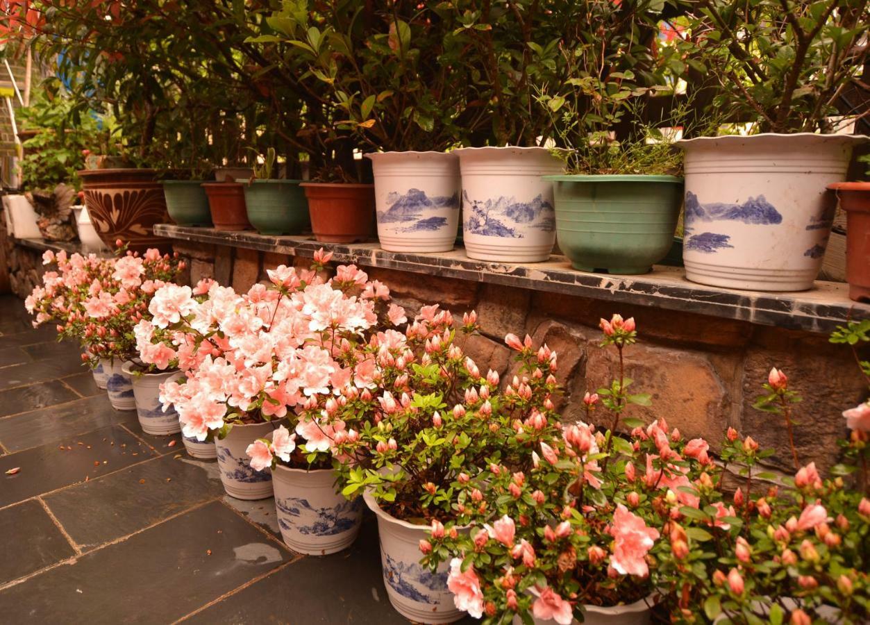 Floral Hotel - Baihui Living Csangcsiacsie Kültér fotó